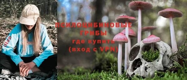 винт Кукмор